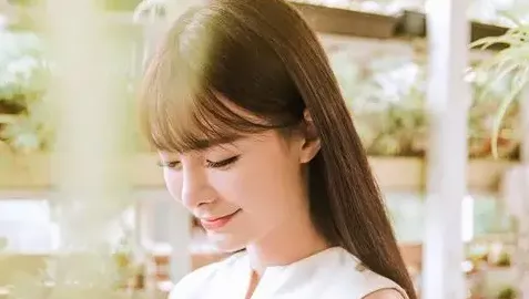 全网最黑大熊猫