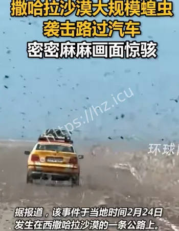 撒哈拉沙漠蝗群侵袭